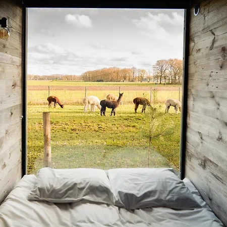 Bed & Breakfast In De Hei