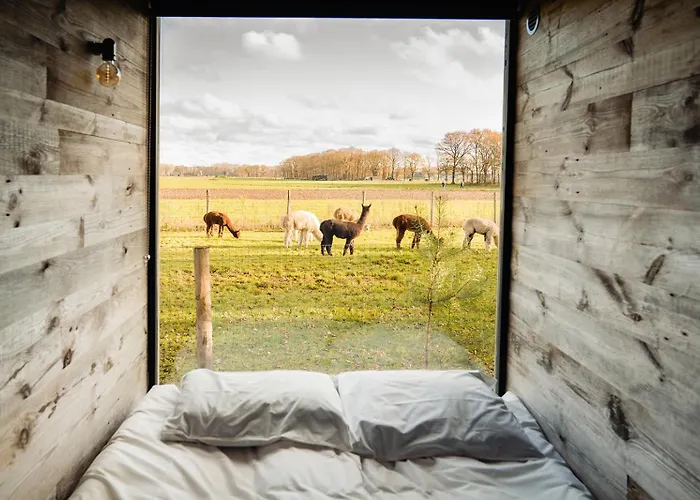 Bed & Breakfast In De Hei